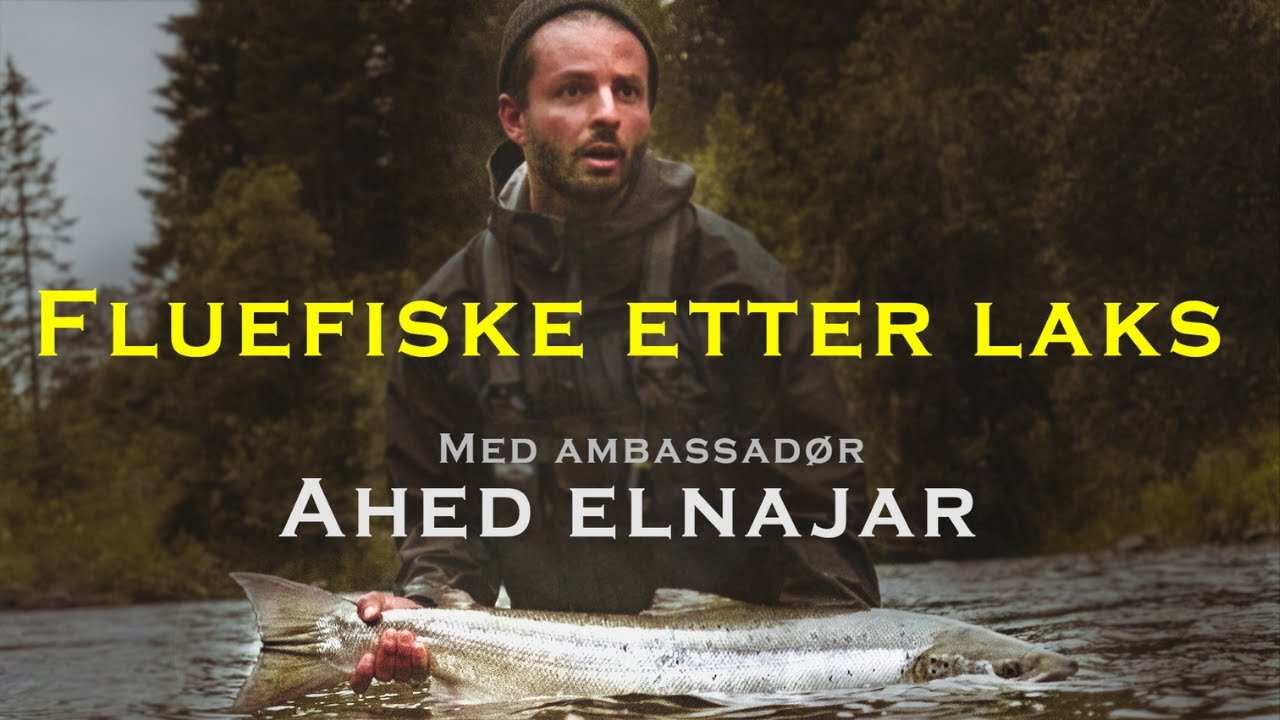 Fluefiske etter laks, med NJFF-amabssadør Ahed Elnajar