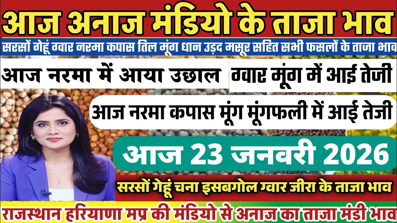 अनाज मंडी भाव| 23/ जनवरी /2026 आज नरमा कपास मूंग ग्वार मूंगफली जीरा में आया उछाल| Anaj Mandi bhav,