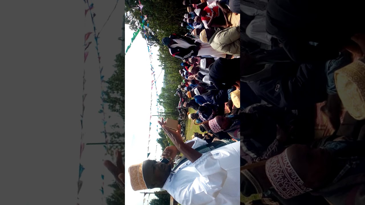 Qamaria lushoto mtae