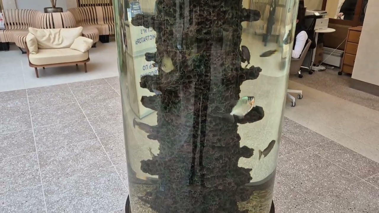 Аквариум в больнице.
