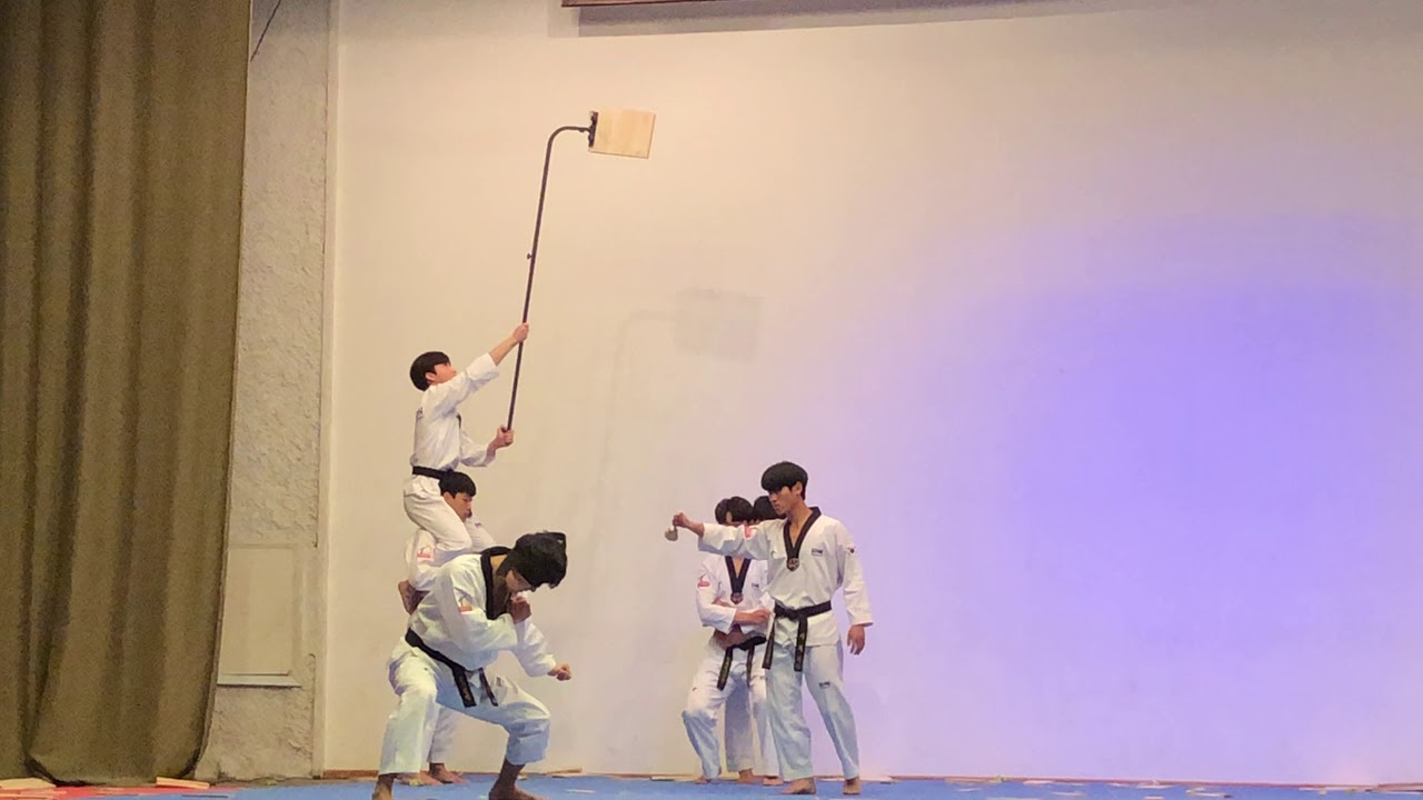Korean Taekwondo team KUKKIWON in Georgia