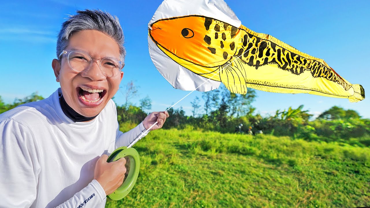 NAIKKAN LAYANGAN IKAN CHANNA RAKSASA!!