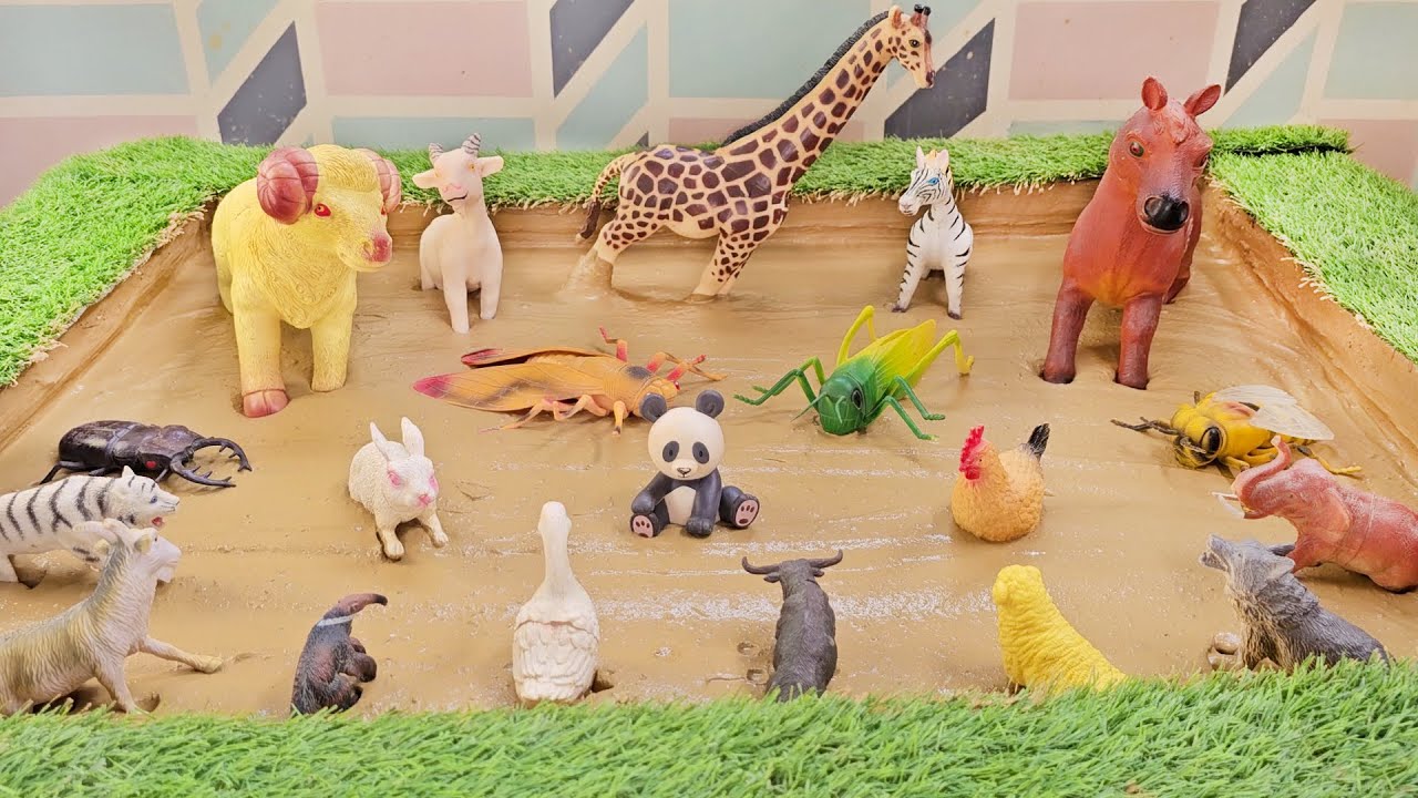 Forest Friends Unveiled! Get to Know About Awesome Animals in This Interactive Video!