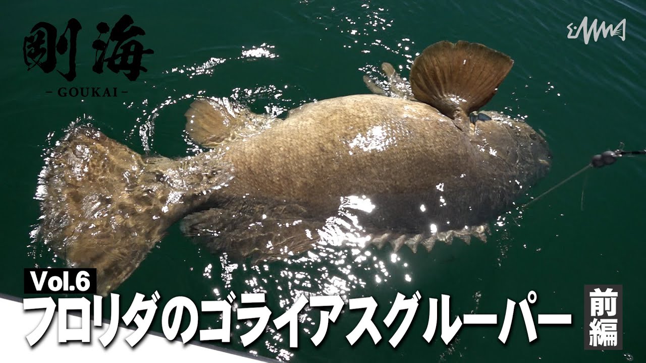 【釣りビジョン】剛海#6（ダイジェスト）／アメリカ・ゴライアスグルーパー前編