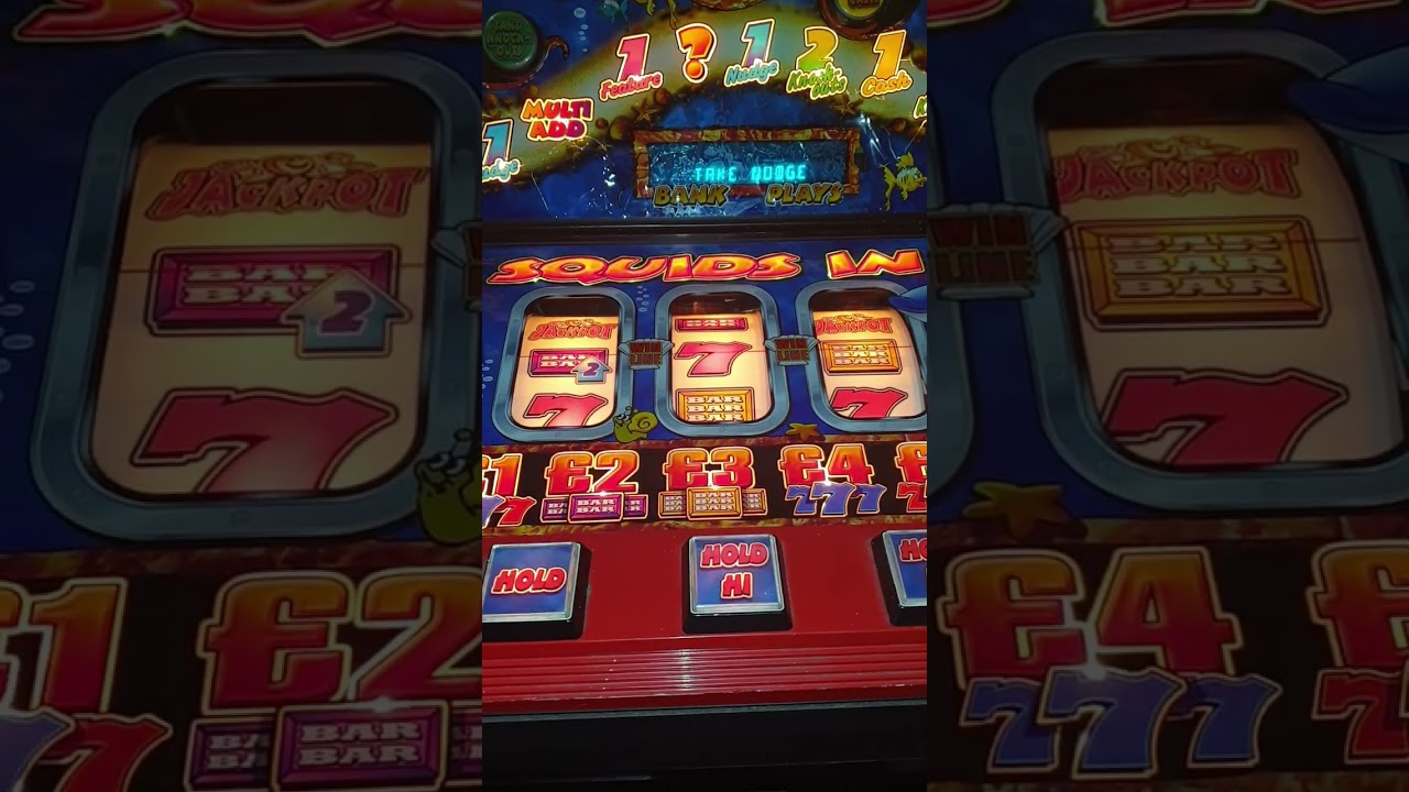 squids in fruit machine 23-6-2024