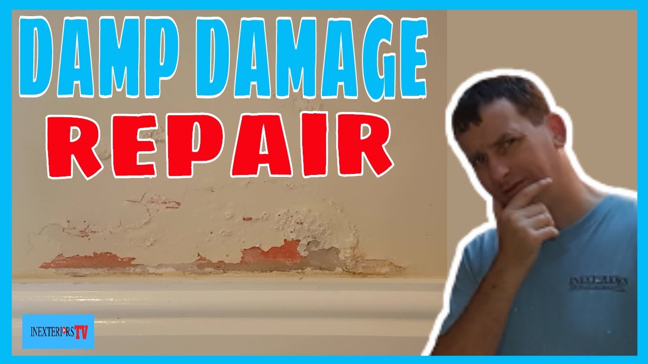 How to repair damp damage before painting. Damp damage repair.