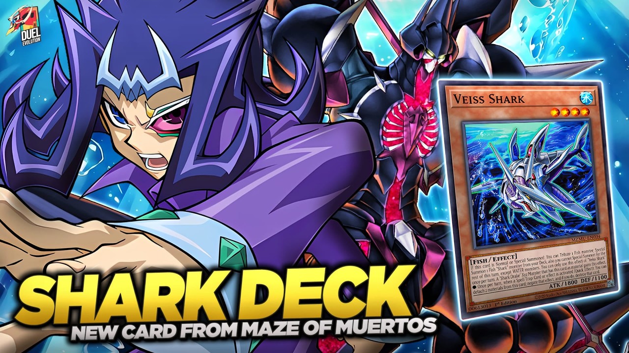Deck Shark Post Maze of Muertos | MDPRO3 | Replays  & Decklist