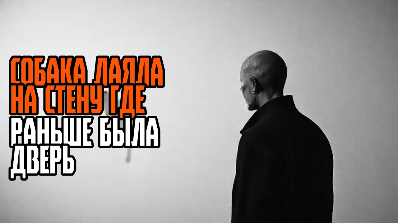 СОБАКА ЛАЯЛА НА СТЕНУ ГДЕ РАНЬШЕ БЫЛА ДВЕРЬ