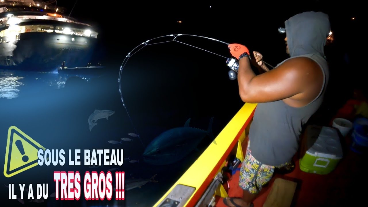 CE PAQUEBOT A ATTIRÉ DANS SON SILLAGE PLUSIEURS POISSONS EXOTIQUES  (PÊCHE au LEURRE DE NUIT)