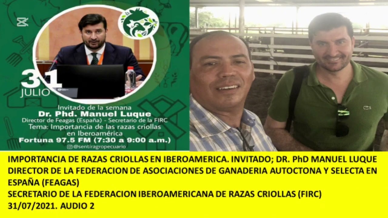 ✅ IMPORTANCIA DE LAS RAZAS CRIOLLAS EN IBEROAMERICA 🐂🇻🇪🇪🇸31/07/21. SENTIR AGROPECUARIO. 