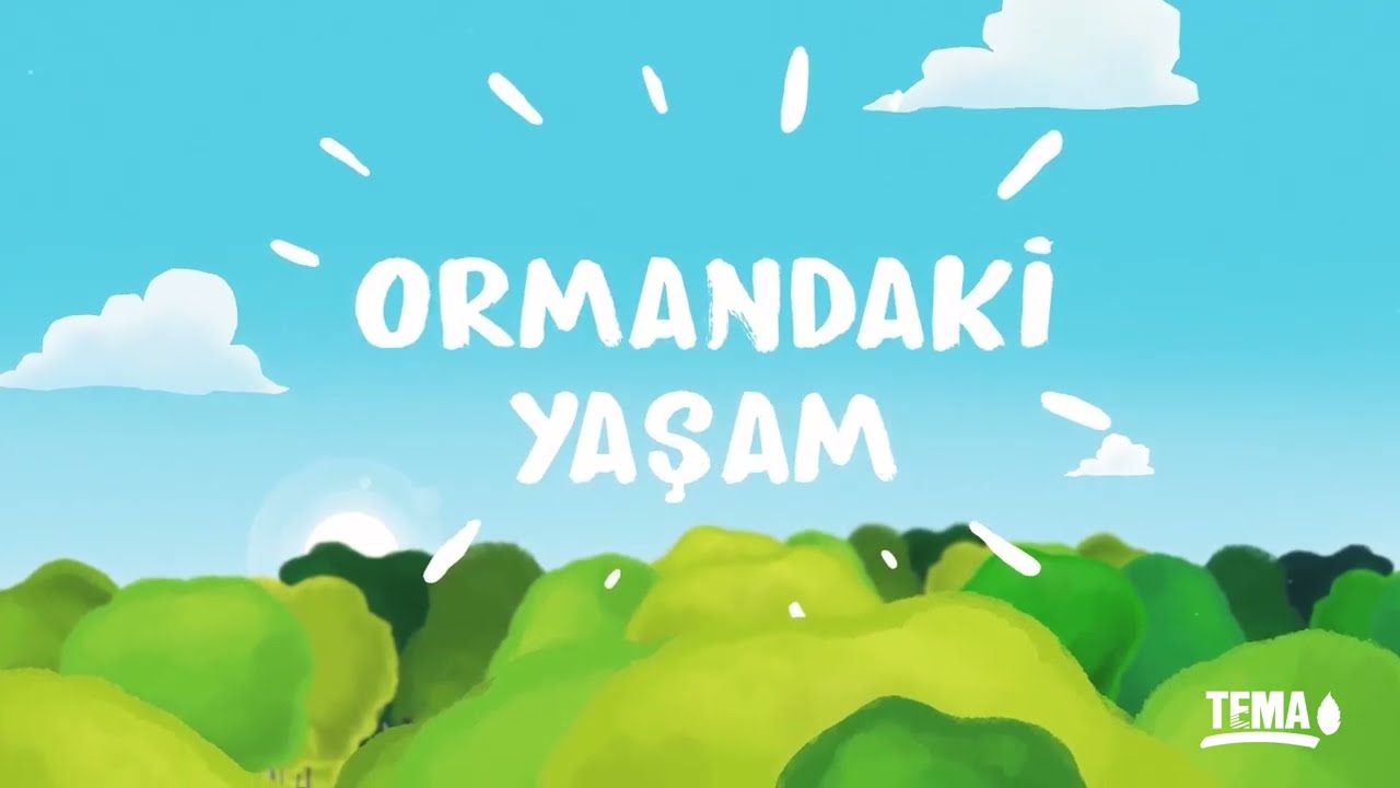Ormandaki Yaşam - Minik TEMA