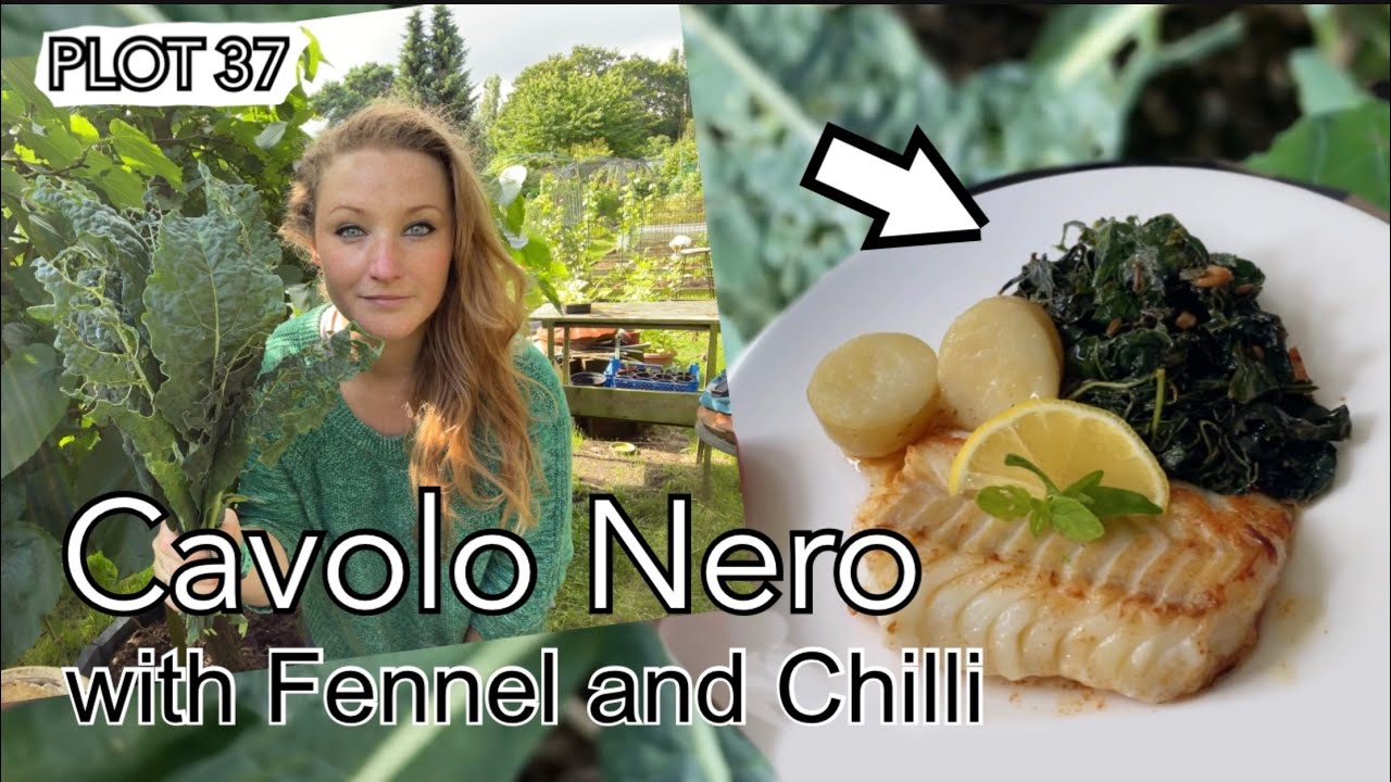 Cavolo Nero with Fennel Seeds and Chilli || Plot 37