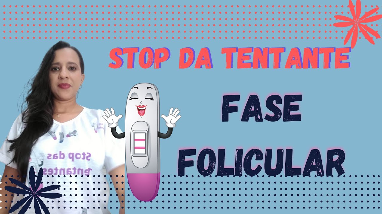 O Caminho da Gesta&ccedil;&atilde;o/ Fase folicular