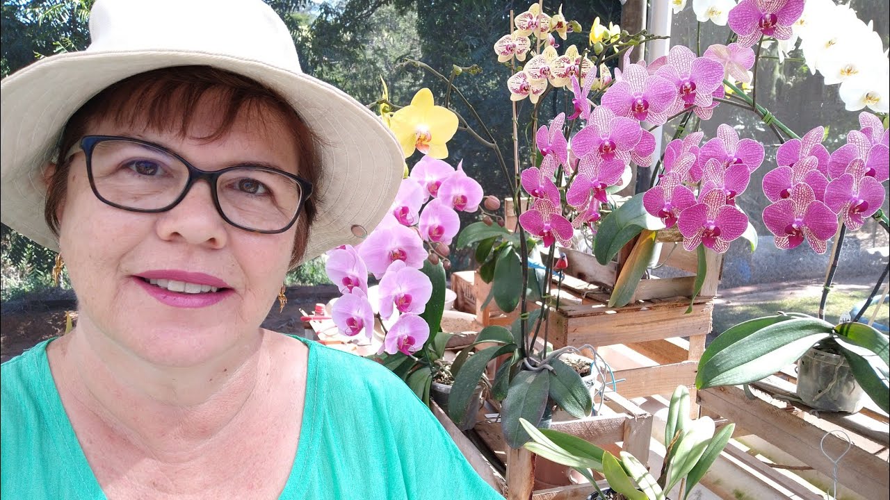 TOUR NO MEU ORQUIDÁRIO FLORES E BOTÕES e explicação do SORTEIO