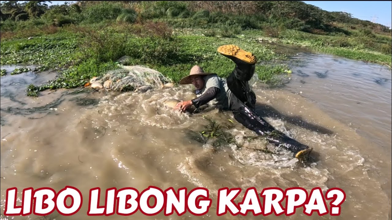 Grabe napasugod kami dahil sa mga karpa na naglabasan sobrang dami