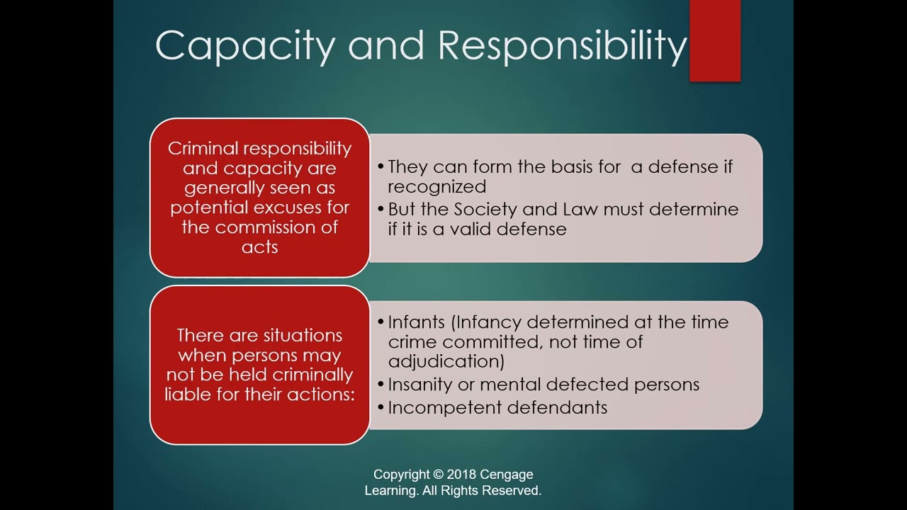 Chapter 5   The Capacity to Commit Crimes