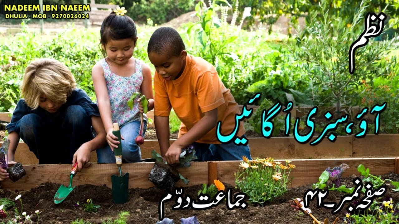 نظم سبزی اگائیں ۔ جماعت دوّم