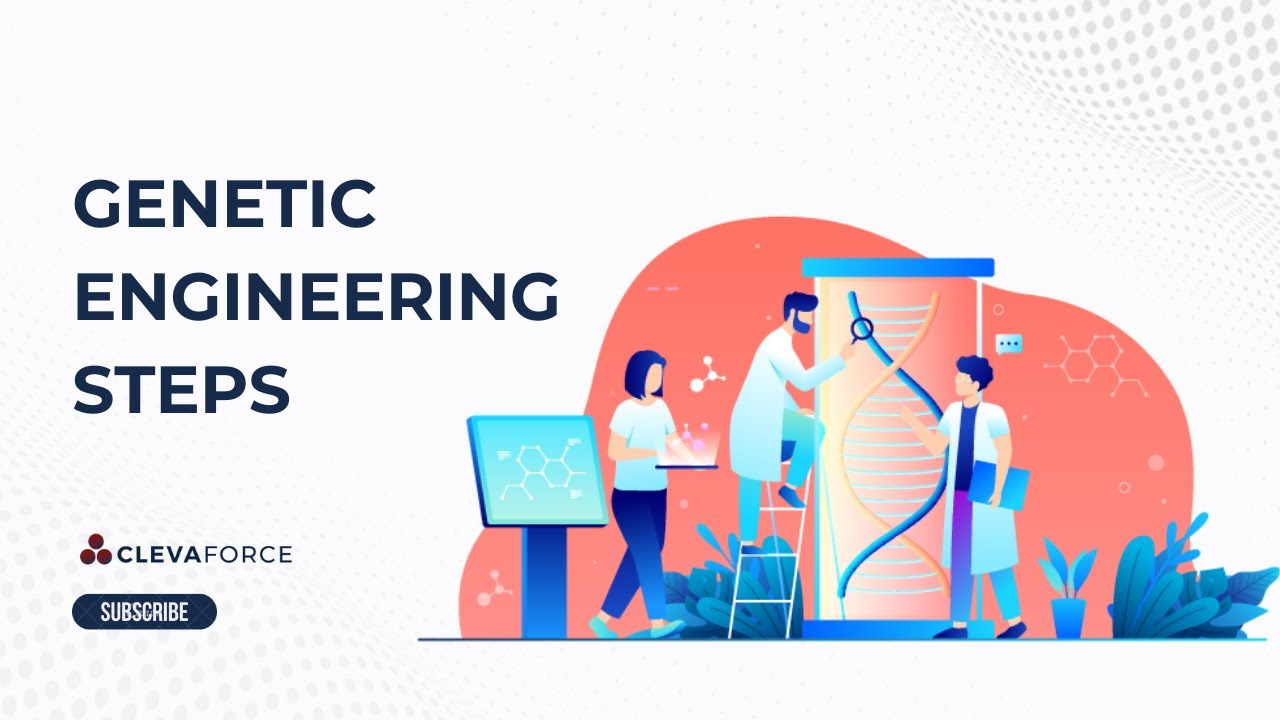 Gene Engineering Steps