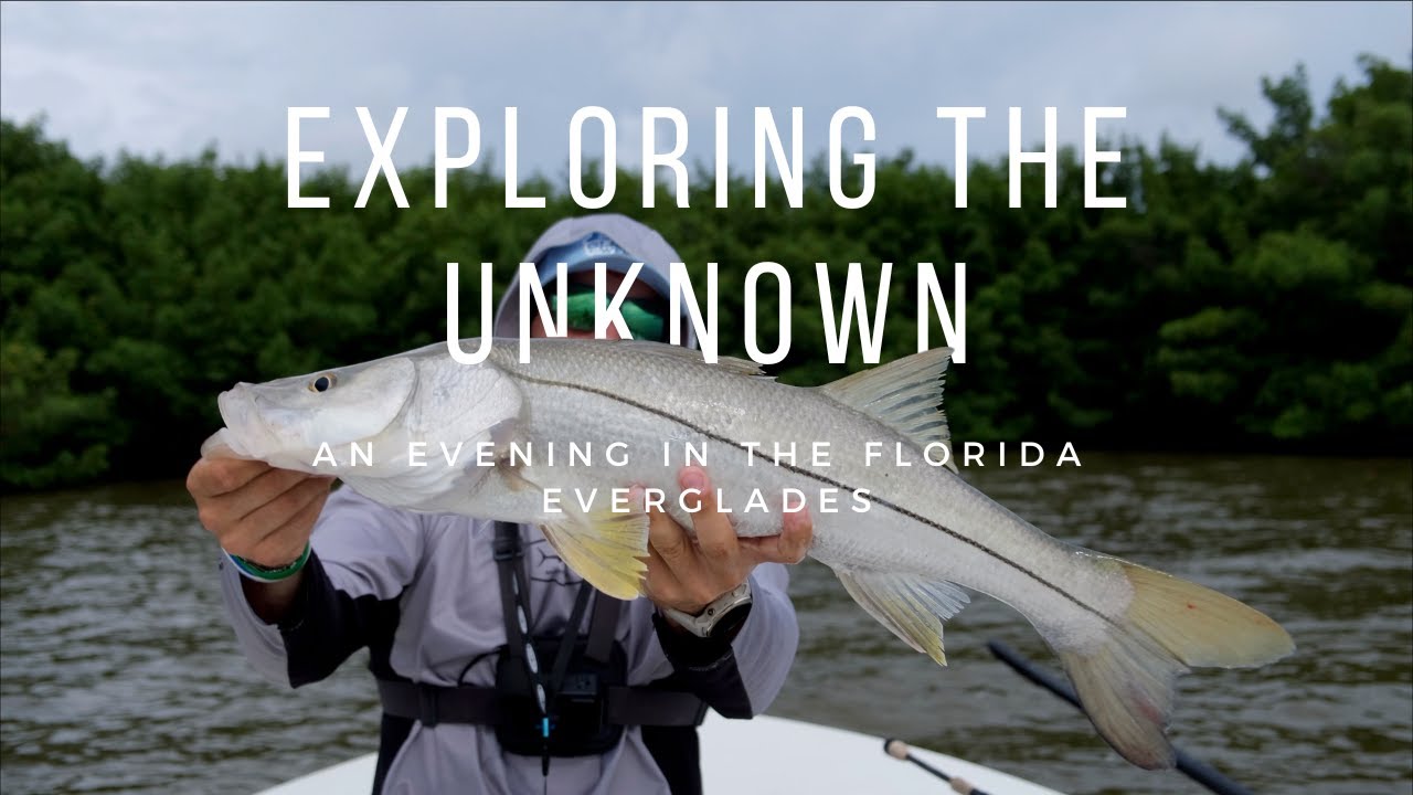 Fishing the Everglades Coastline for Snook