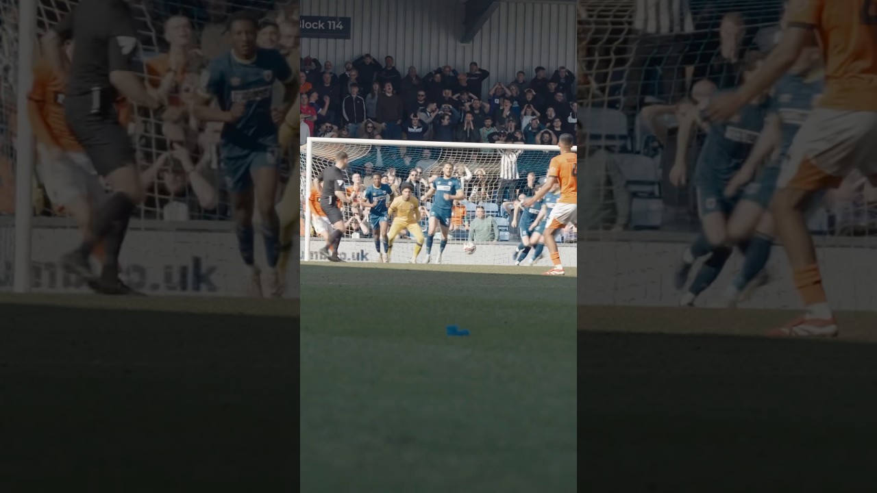 WHAT. A. SAVE. 🧤 #afcw #football #reels #shorts