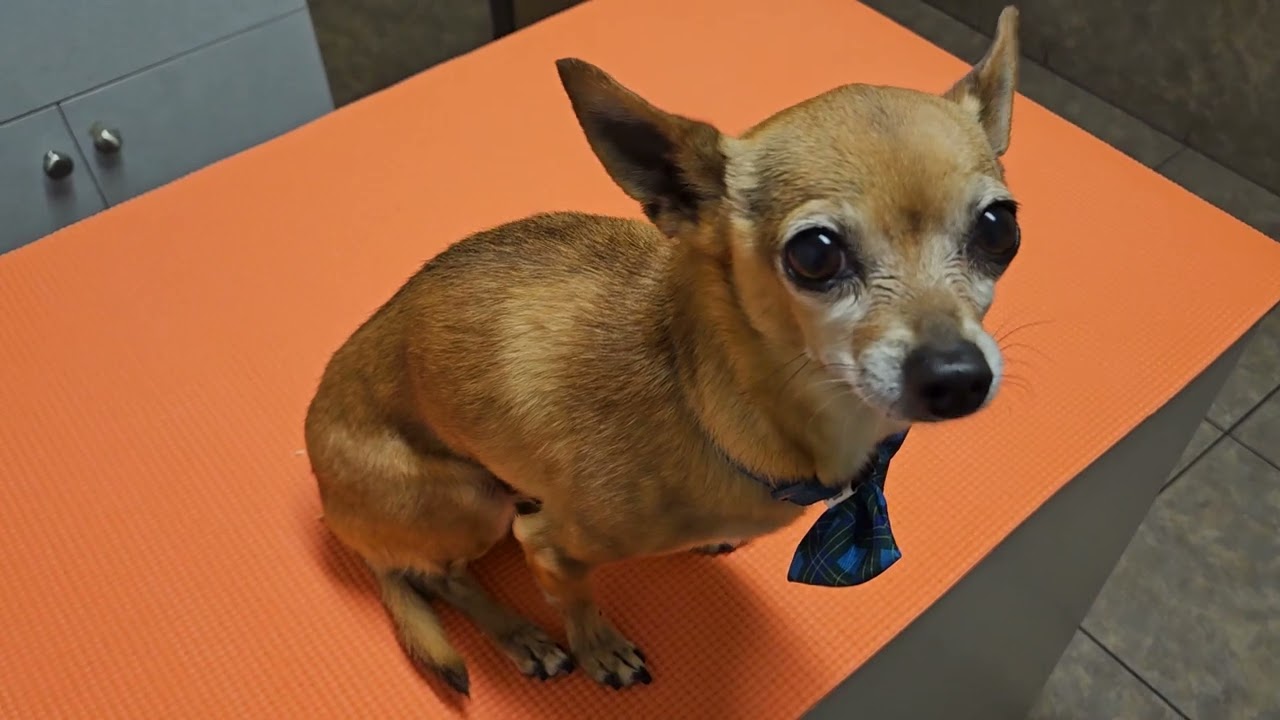 Реставрация YZ80, часть 4