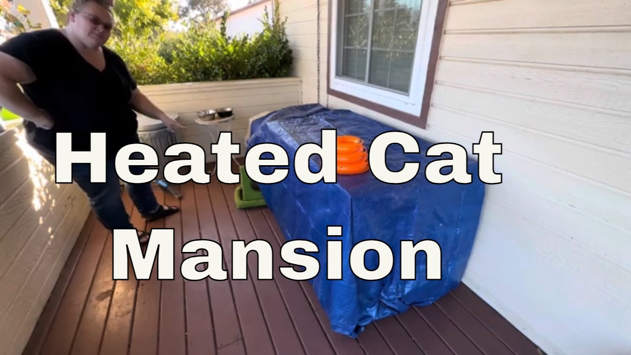 Inexpensive shelter for feral cats | The ultimate heated cat shelter