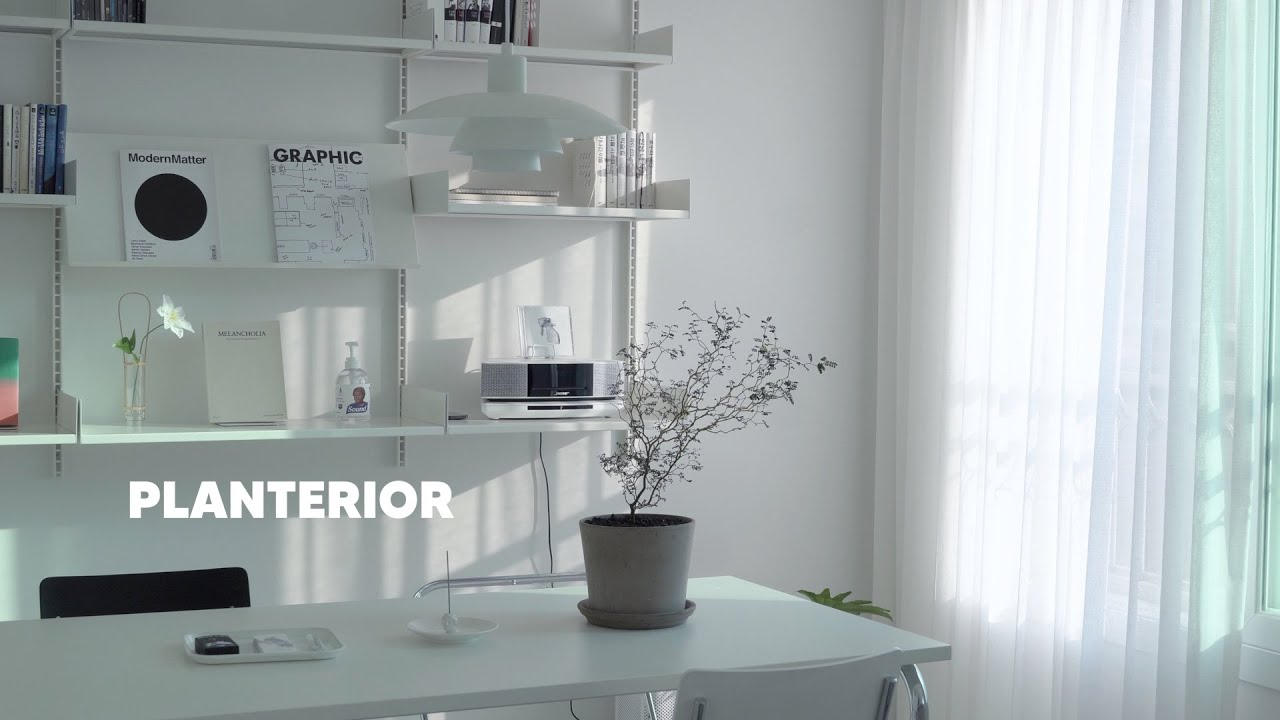 인테리어에 좋은 식물 추천 (Planterior)  | 베란다 없는 실내에서 키우기 쉬운 식물 6