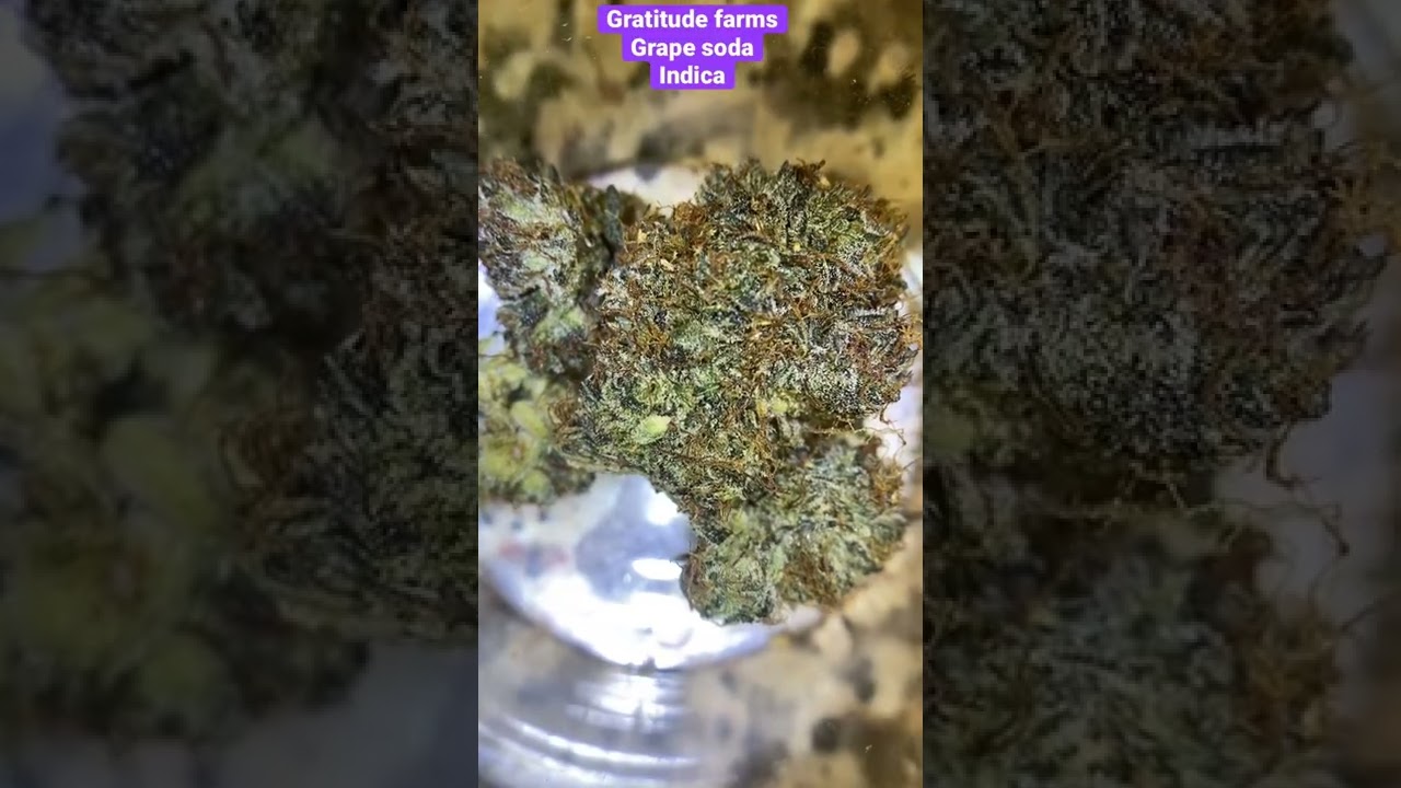 Gratitude farms-grape soda delta 8 THC (Alabama grown)