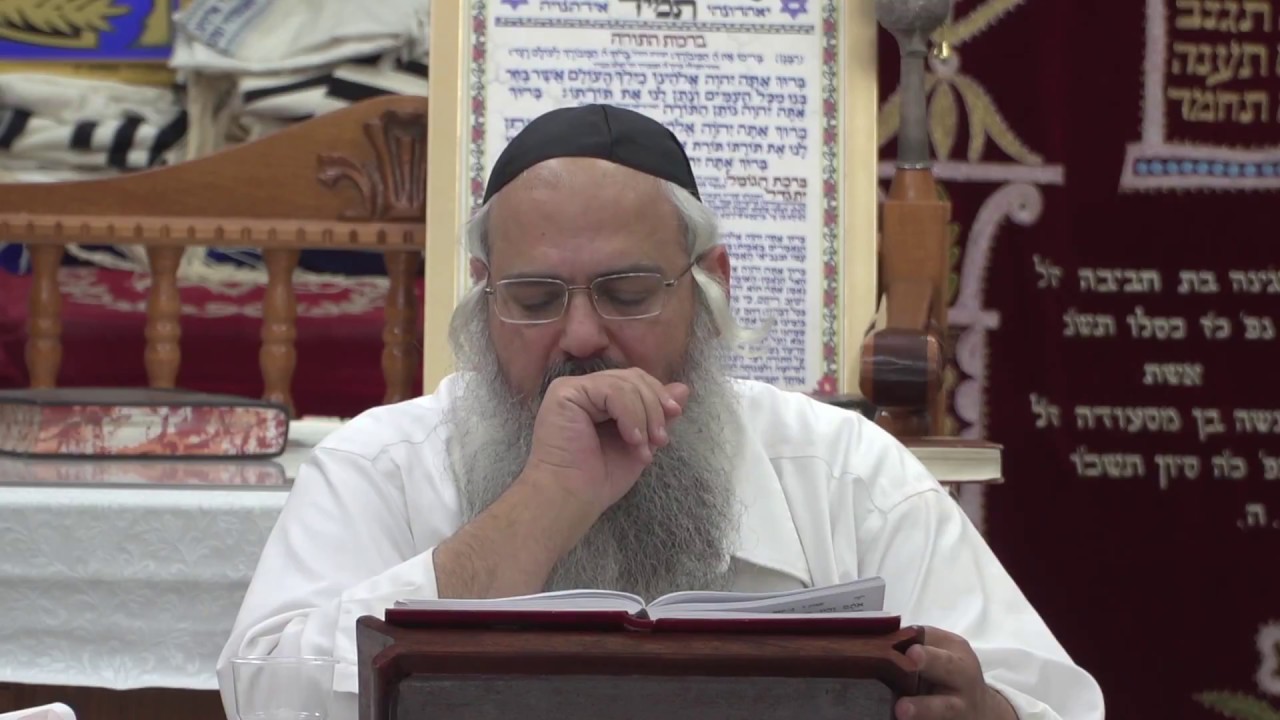 פרשת משפטים - הרב שלמה לוינשטיין HD