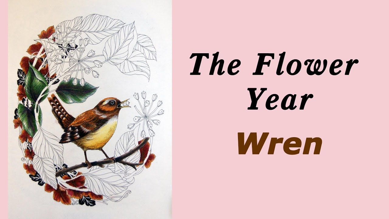 Coloring book 'The Flower Year' Wren. Prismacolor pencils