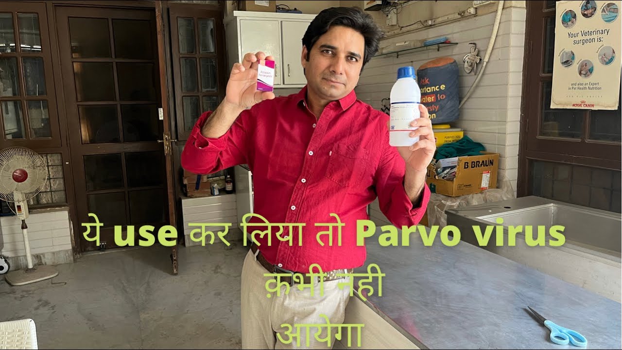 Fumigation technique to eradicate  virus from your kennel||Parvo virus ||how to prevent parvo spread
