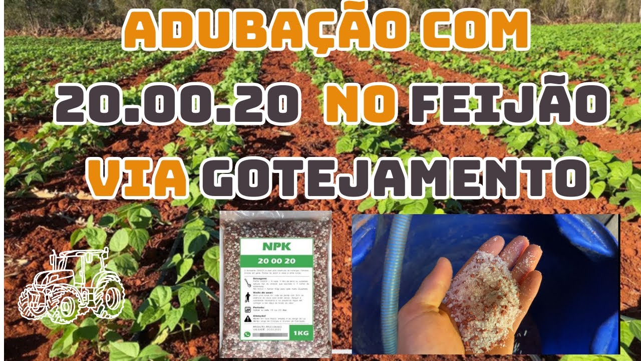 Plantio de Feijão: Adubação com 20.00.20!! Entenda como essa adubação pode fazer toda a Diferença !!