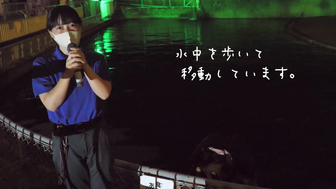 【東山動植物園公式】カバのアニマルトーク(字幕対応)《 2021おうちでたのしむナイトZOO＆GARDEN》《 カバ 》