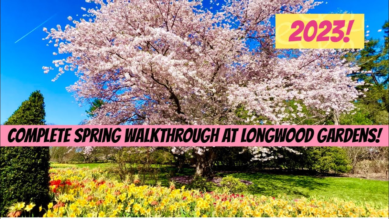 2023 Longwood Gardens Spring Full Walkthrough Tour! No Music!