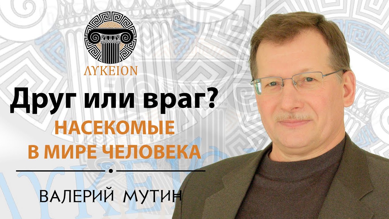 Насекомые в мире человека / Валерий Мутин