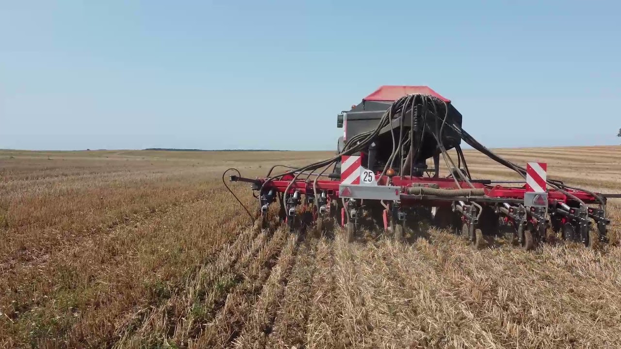 Semie de colza dans la meuse avec un techmagri en direct