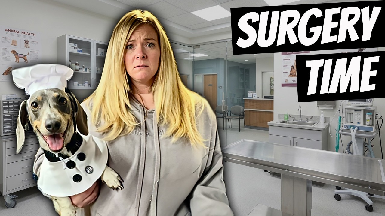 We Stopped Van Life for THIS DOG SURGERY