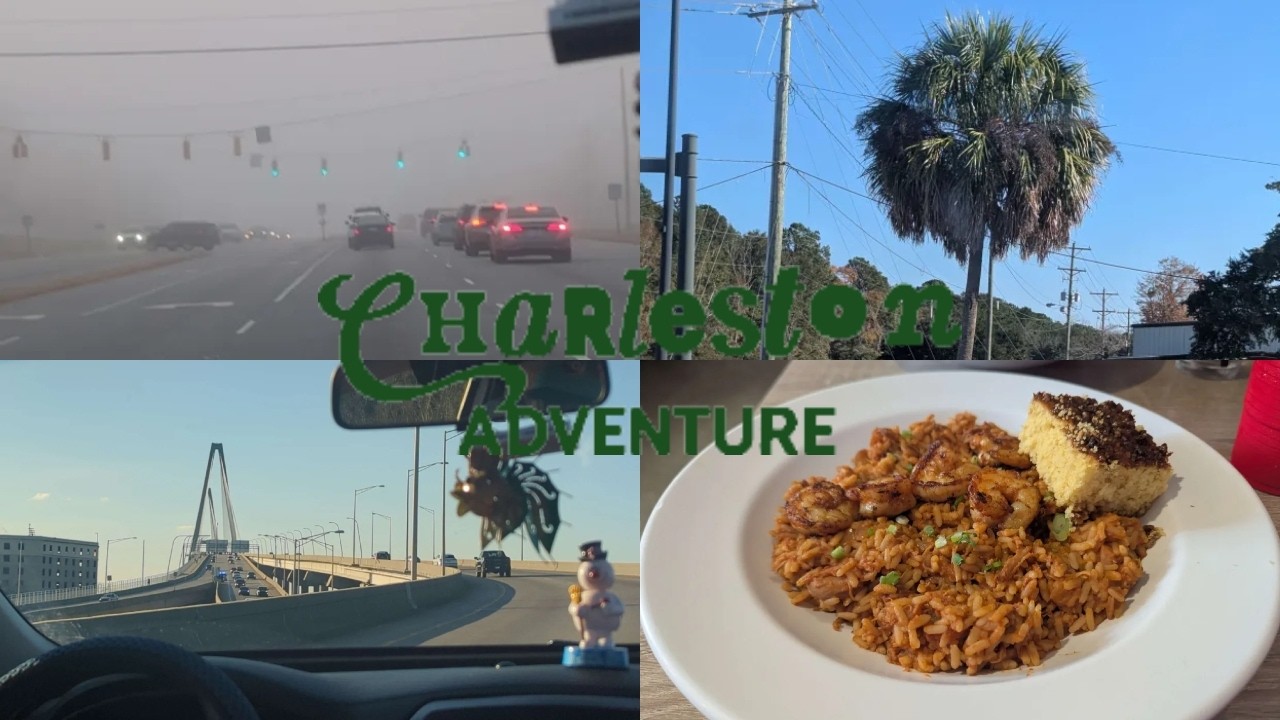 The Charleston Adventure Day One: Traveling Palm Trees, Food, and More
