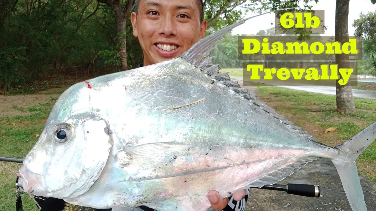 Big diamond trevally in Singapore shorelines - Shore Jigging Singapore - Episode 8