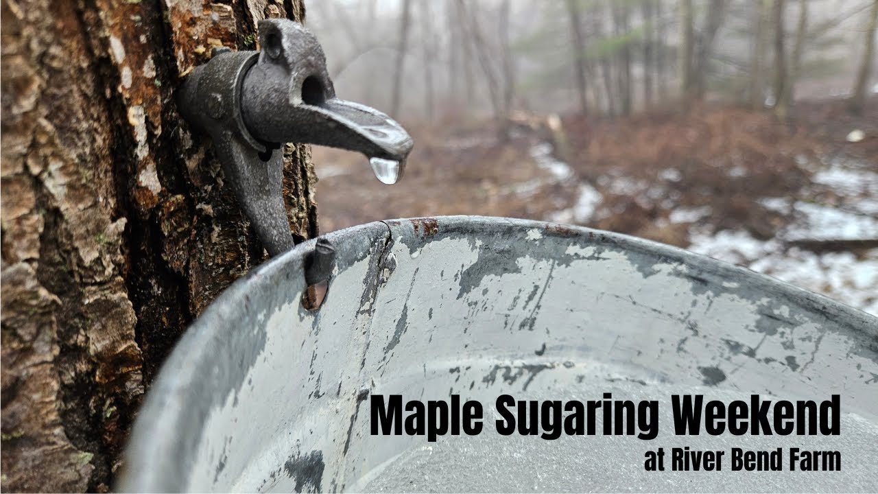 Maple Sugaring Weekend at River Bend Farm