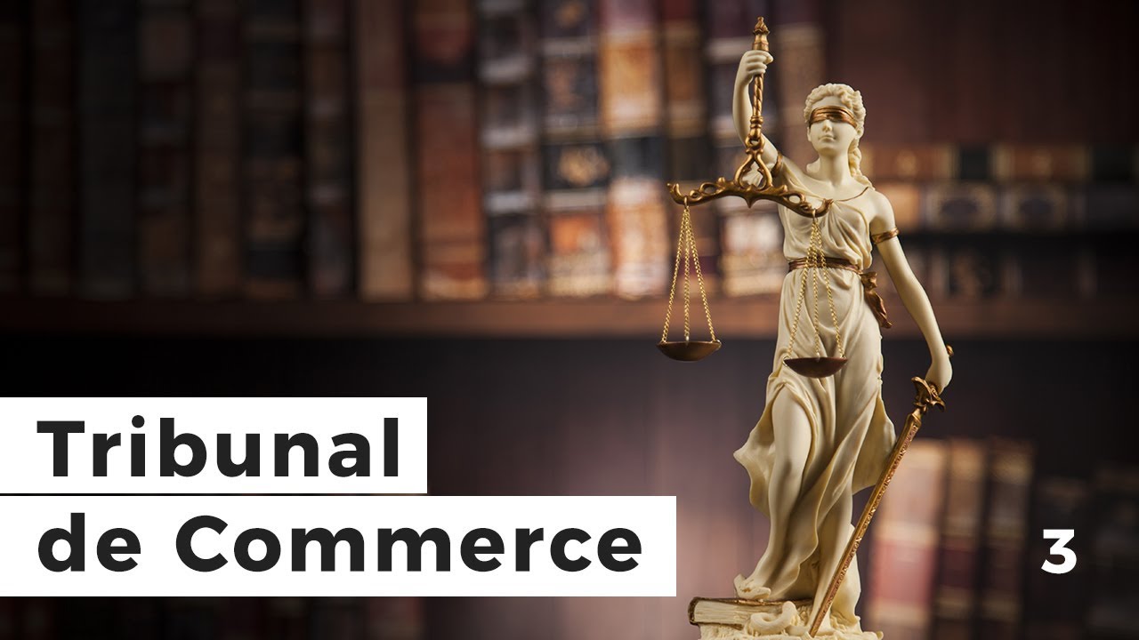 3. Le Tribunal de l'Entreprise et ses comp&eacute;tences (anciennement Tribunal du Comerce)