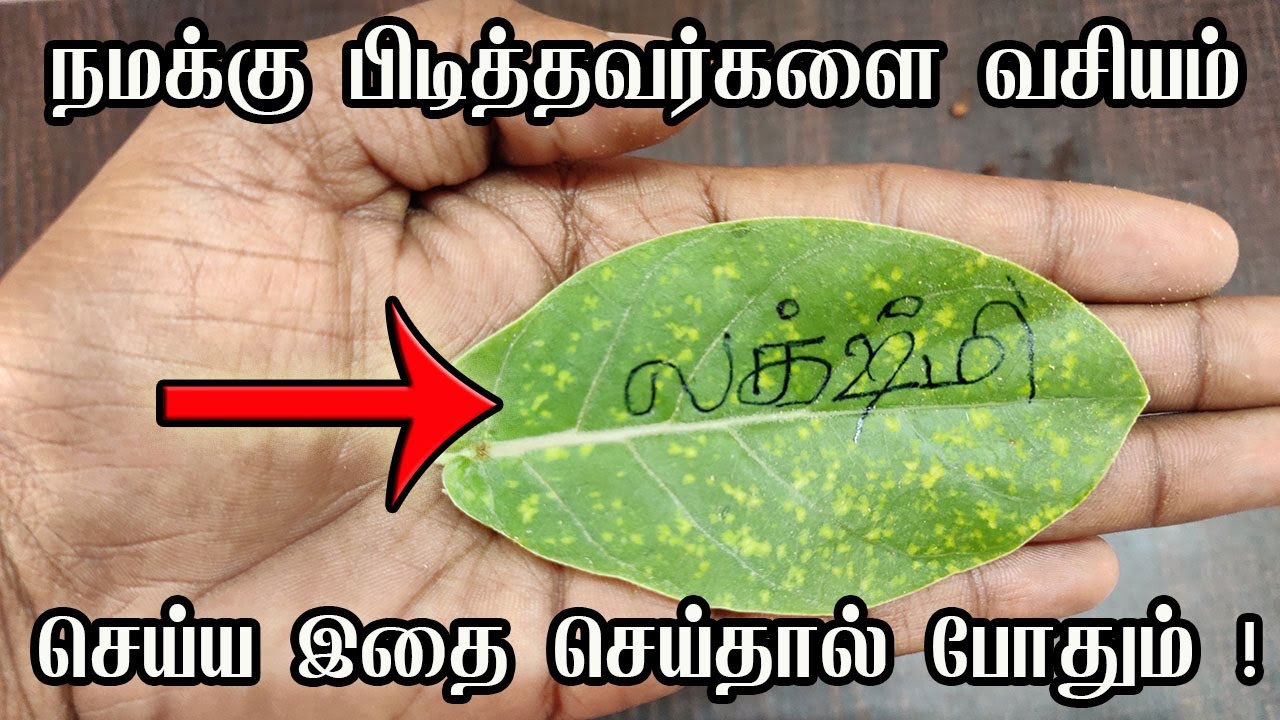 இதை செய்தால் உங்கள் பின்னாடி சுற்றி சுற்றி வருவார்கள் - vasiyam sarvalogam - pen vasiyam