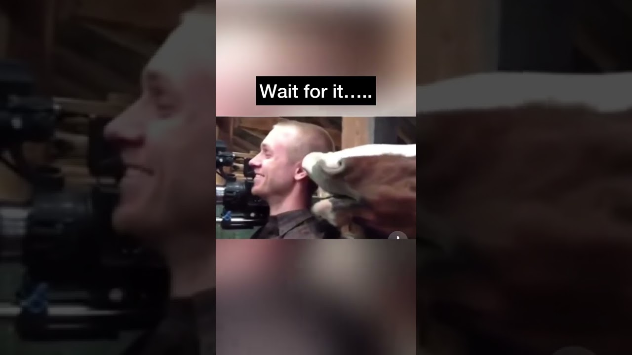 Мы пытались связаться с вами по поводу ваших автомобилей 