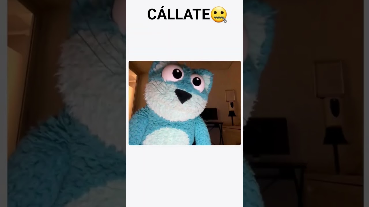 CALLATE 🤐🤐🤐 #funnycute #livewallpaper #music #winter