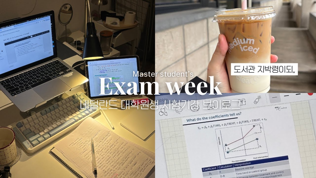 sub) 느리지만 꾸준한 거북이가 경주를 이긴다✍️💡| 네덜란드 대학원생의 시험기간 | Exam study vlog
