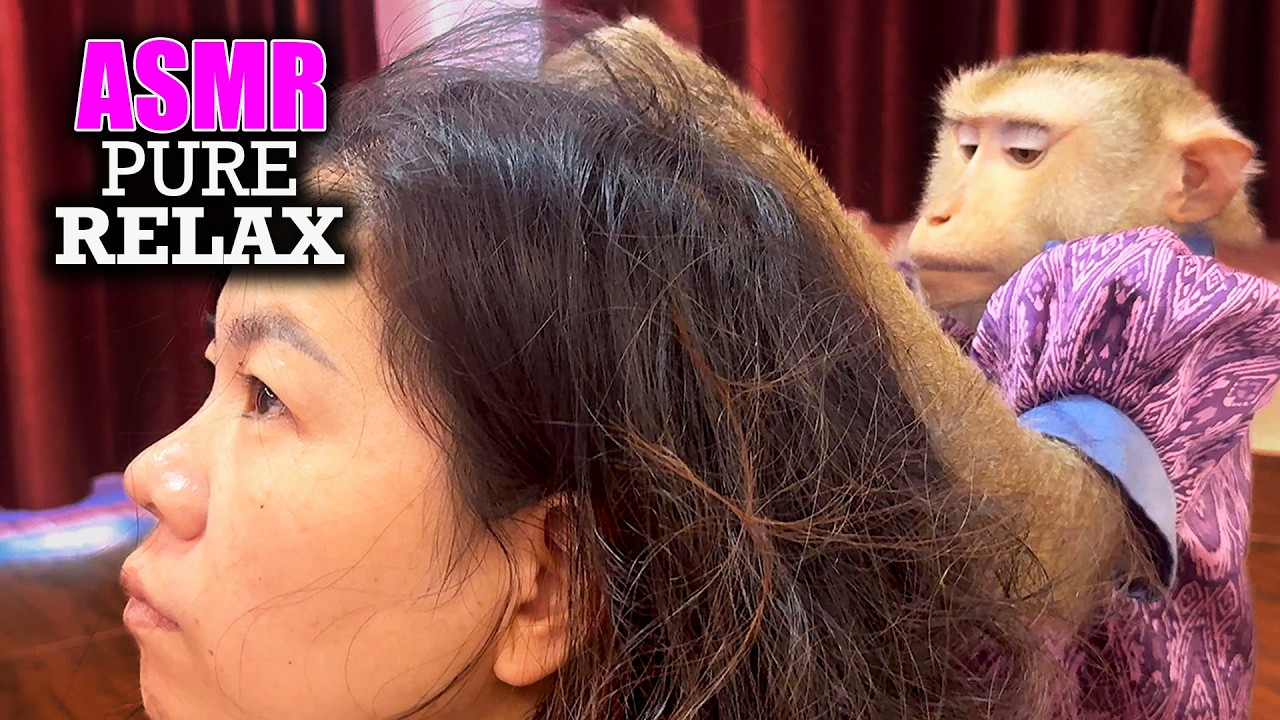 ASMR Monkey Grooming | Judy's Natural Tingles & Hair Scratching Sounds