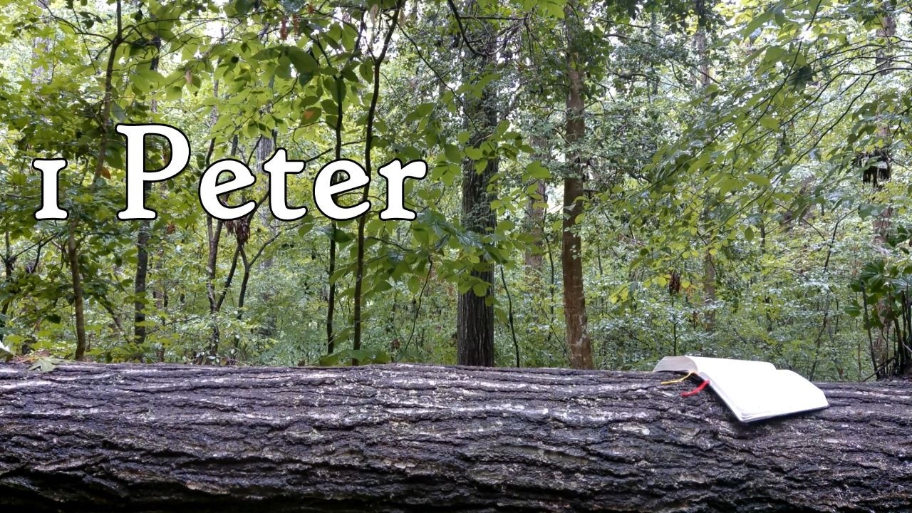 1 Peter | The Holy Bible | New Testament 21/27