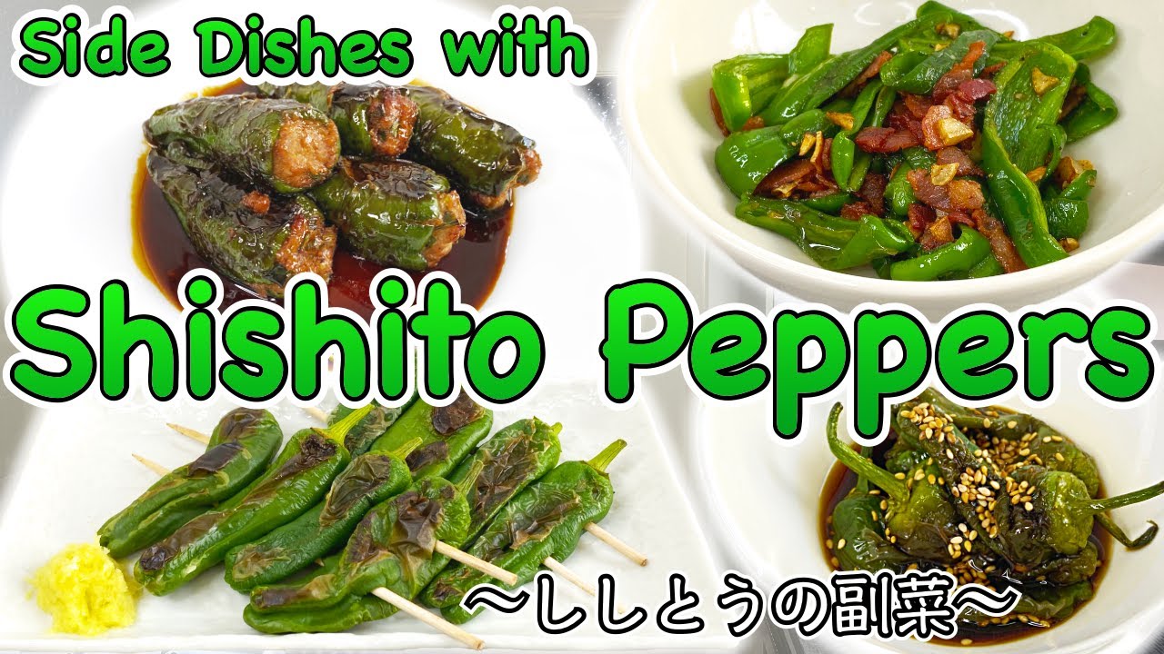 4 easy side dishes with Shishito Peppers 〜ししとう副菜四種〜 | easy Japanese home cooking recipe