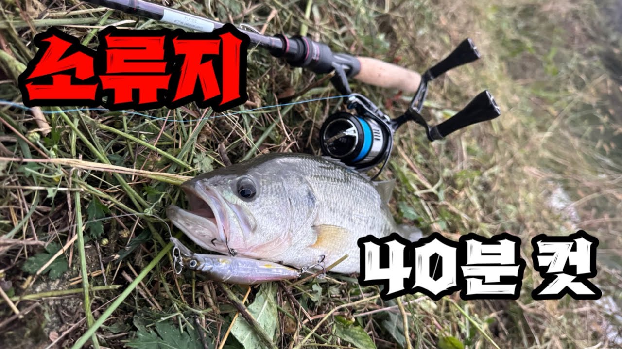 [배스] 스피닝 원태클 소류지 40분 컷!!