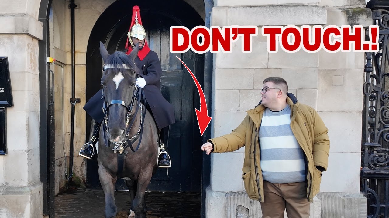 😡Caught on Camera: Guard Stops Man from Touching King&rsquo;s Horse..!